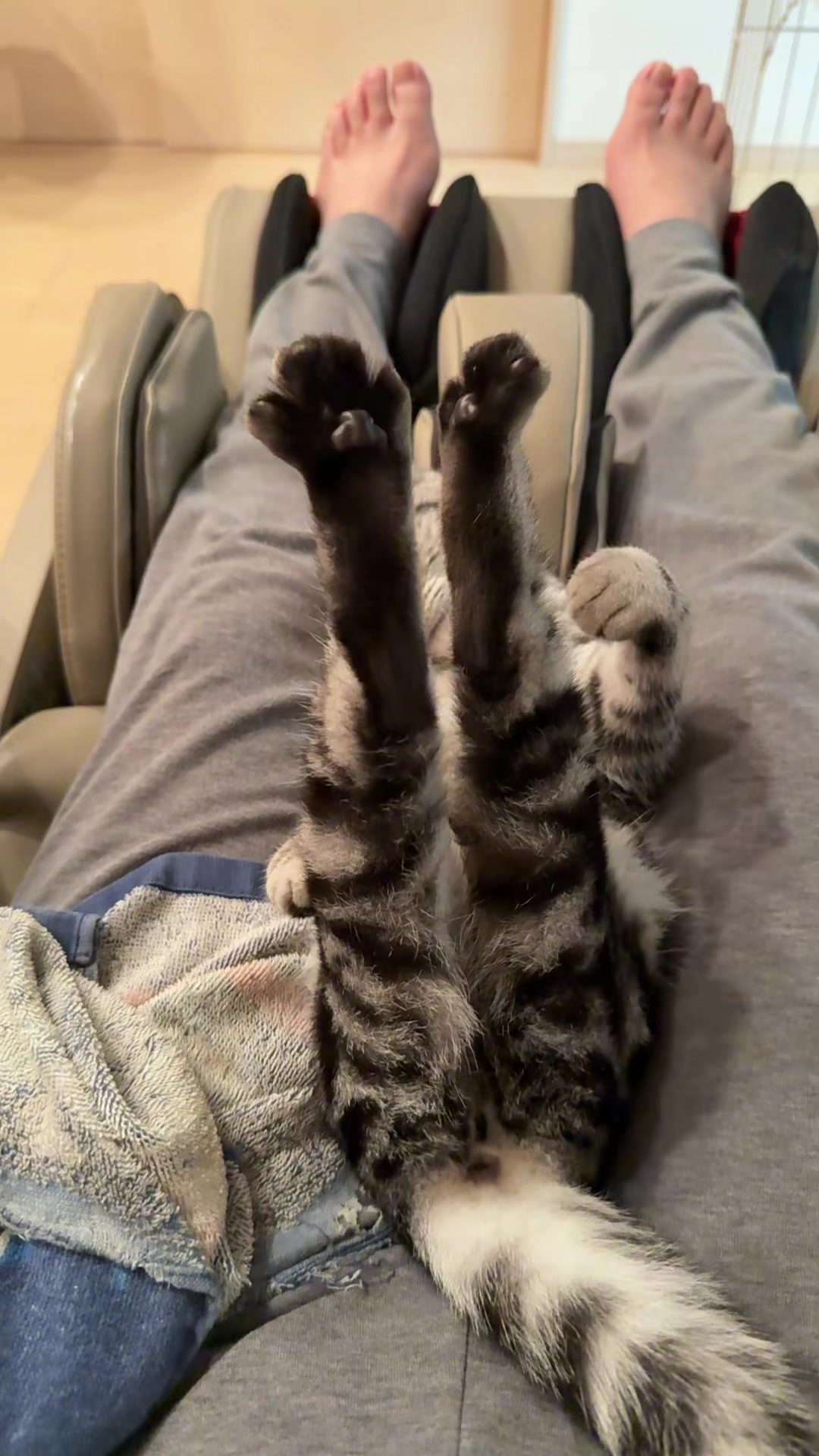 @パンダコンダ