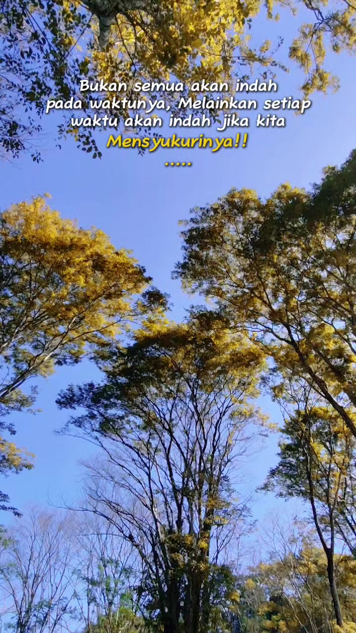 @Bunga Tanpa Tangkai