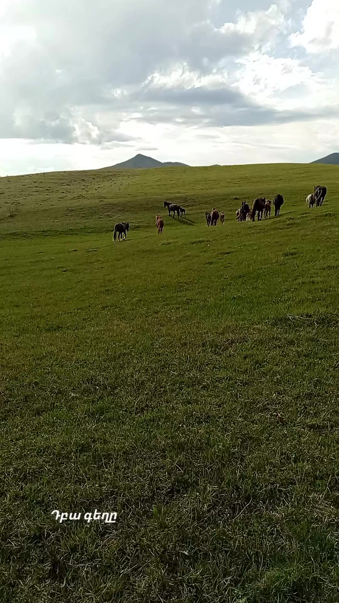 @Վաչե Գևորգյան