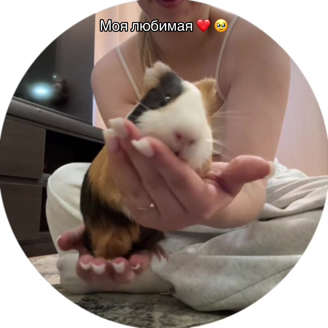 @💗𝐾𝑦𝑎𝑟𝑎𝑠𝑘𝑎💗