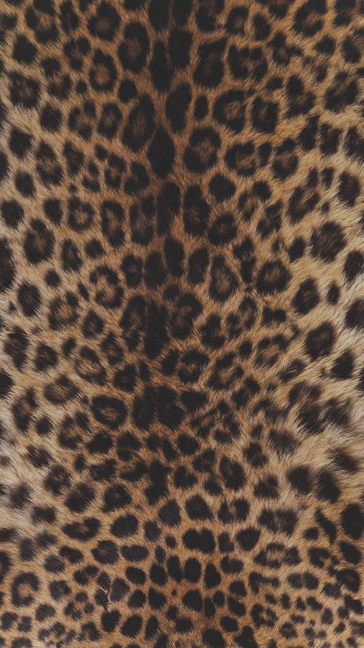 @๐๐๐๐๐๐๐๐๐๐๐๐๐