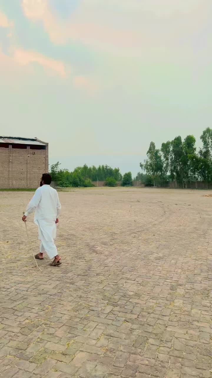 @saeedullahdarhal
