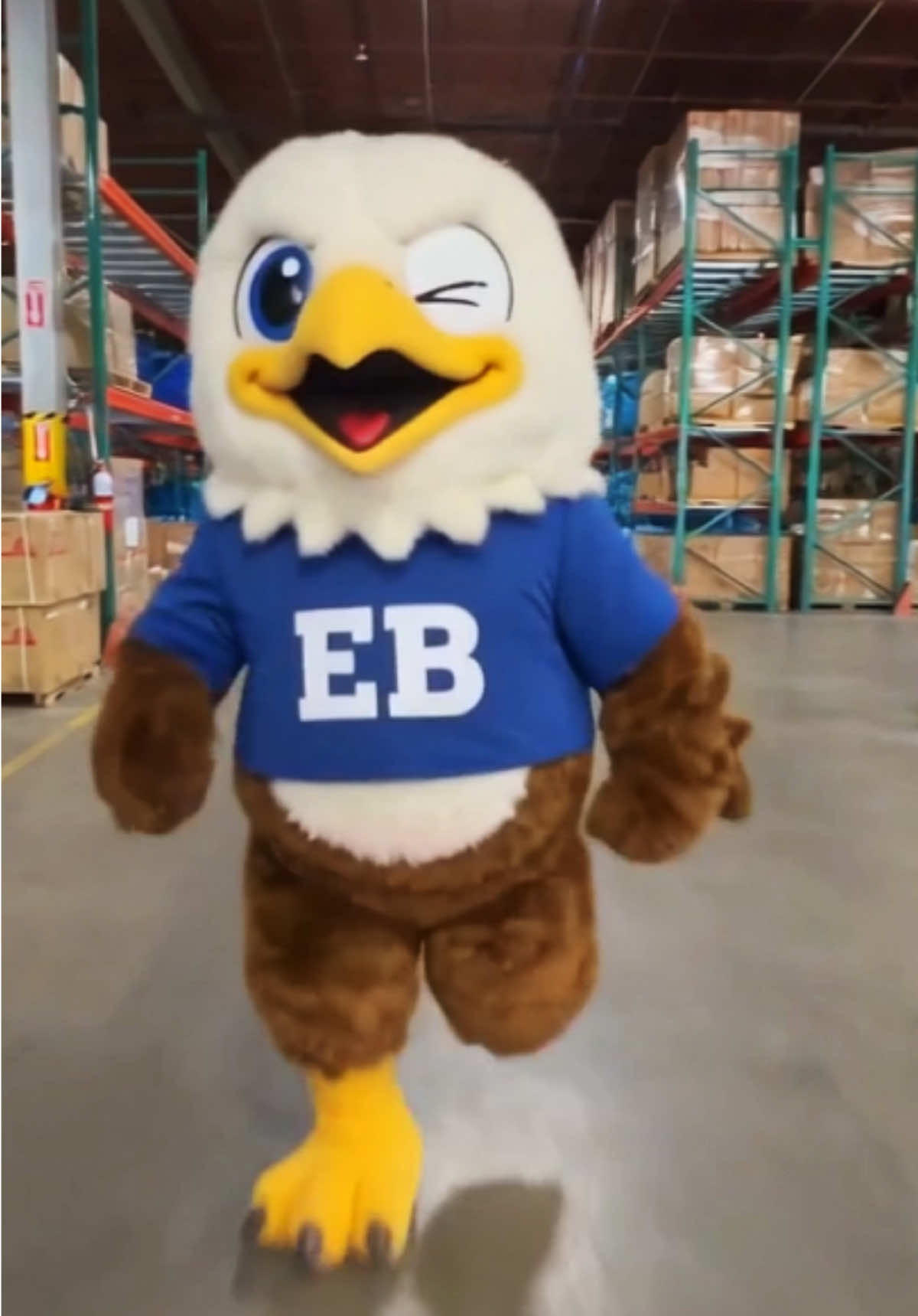 @Eagle Bounce