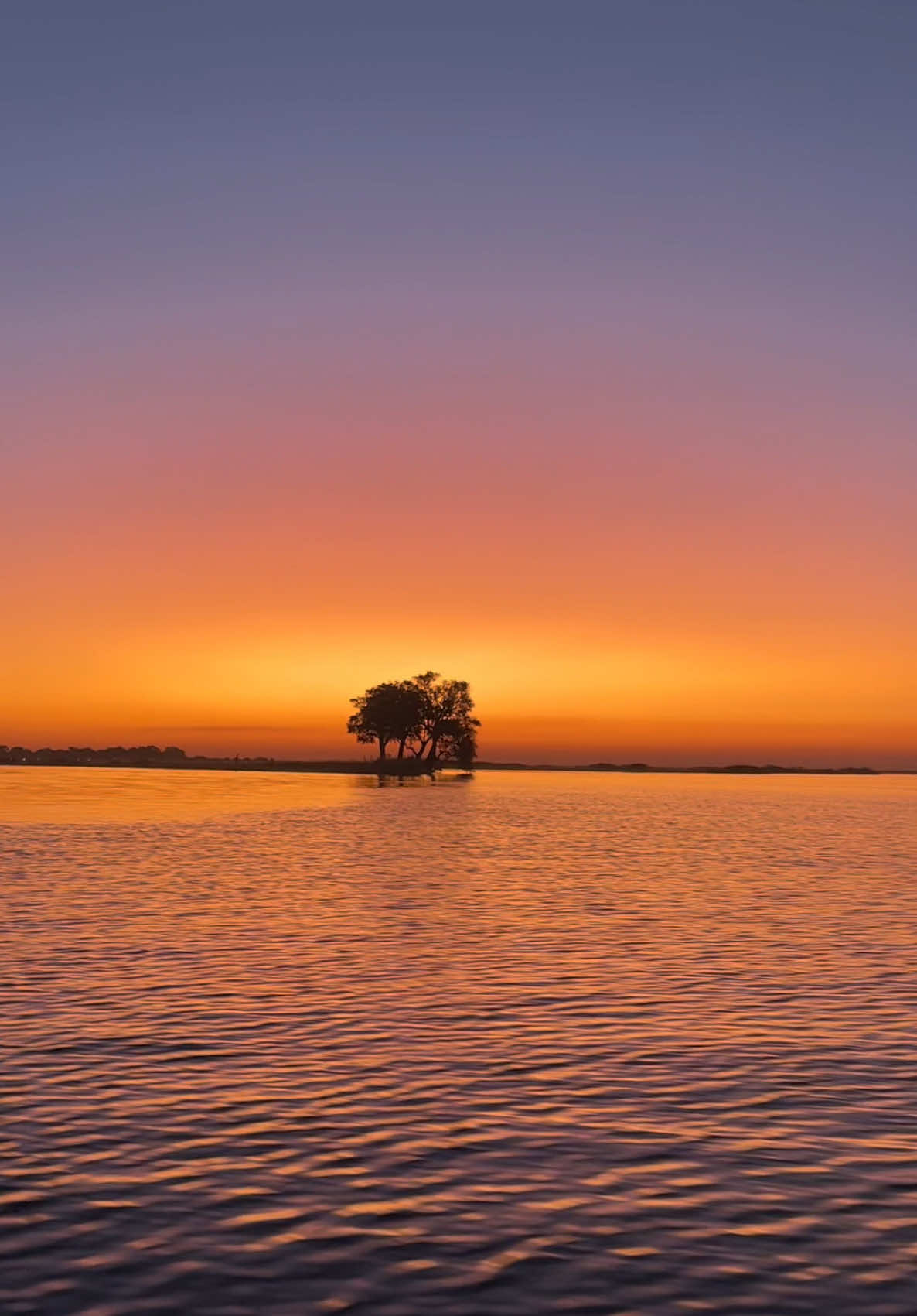@Abdulla_alsenaani