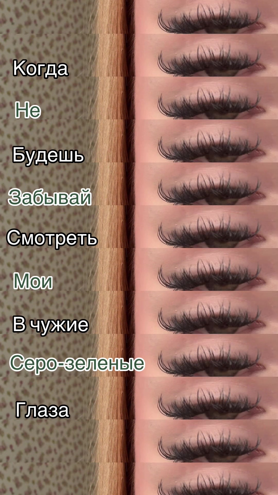 @шайбистова🍒