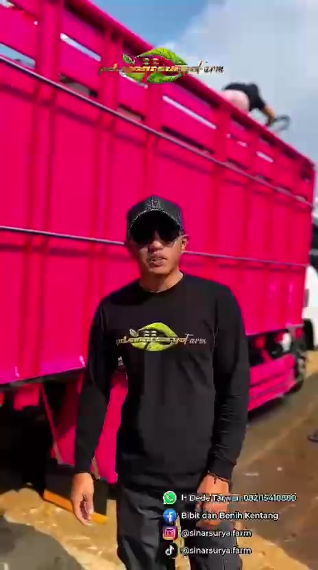 @Dani D2r_mxshop / SSF