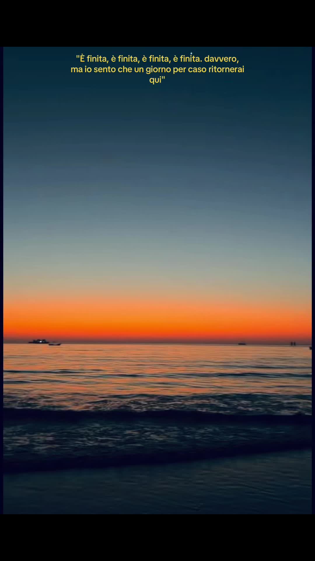 @🌺✨