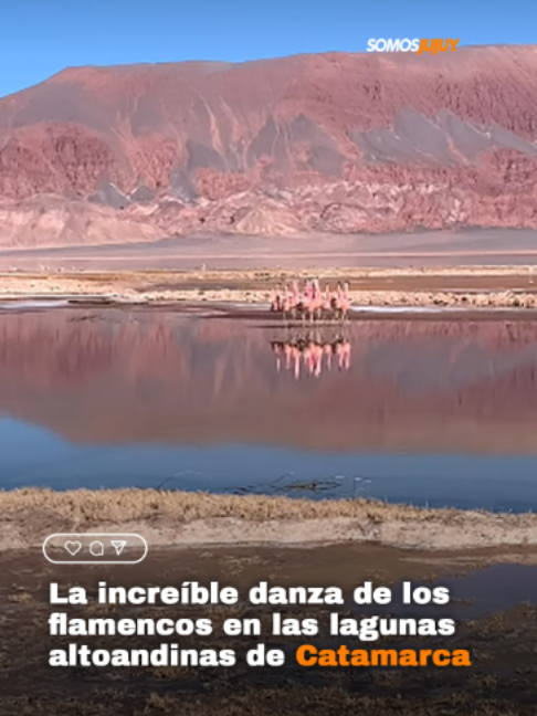 @Somos Jujuy