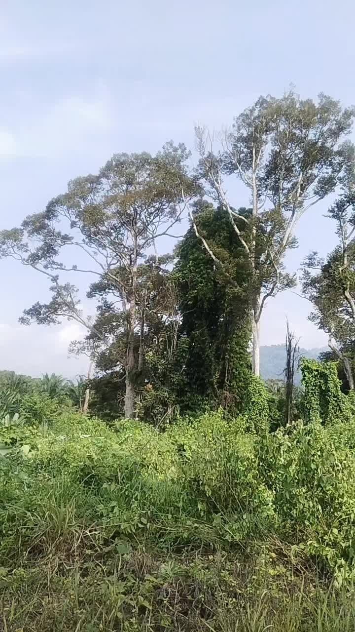 @arulalfan8