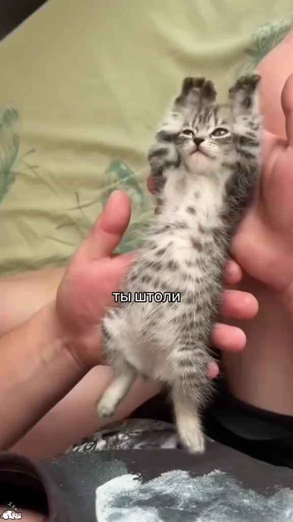 @Ванюша
