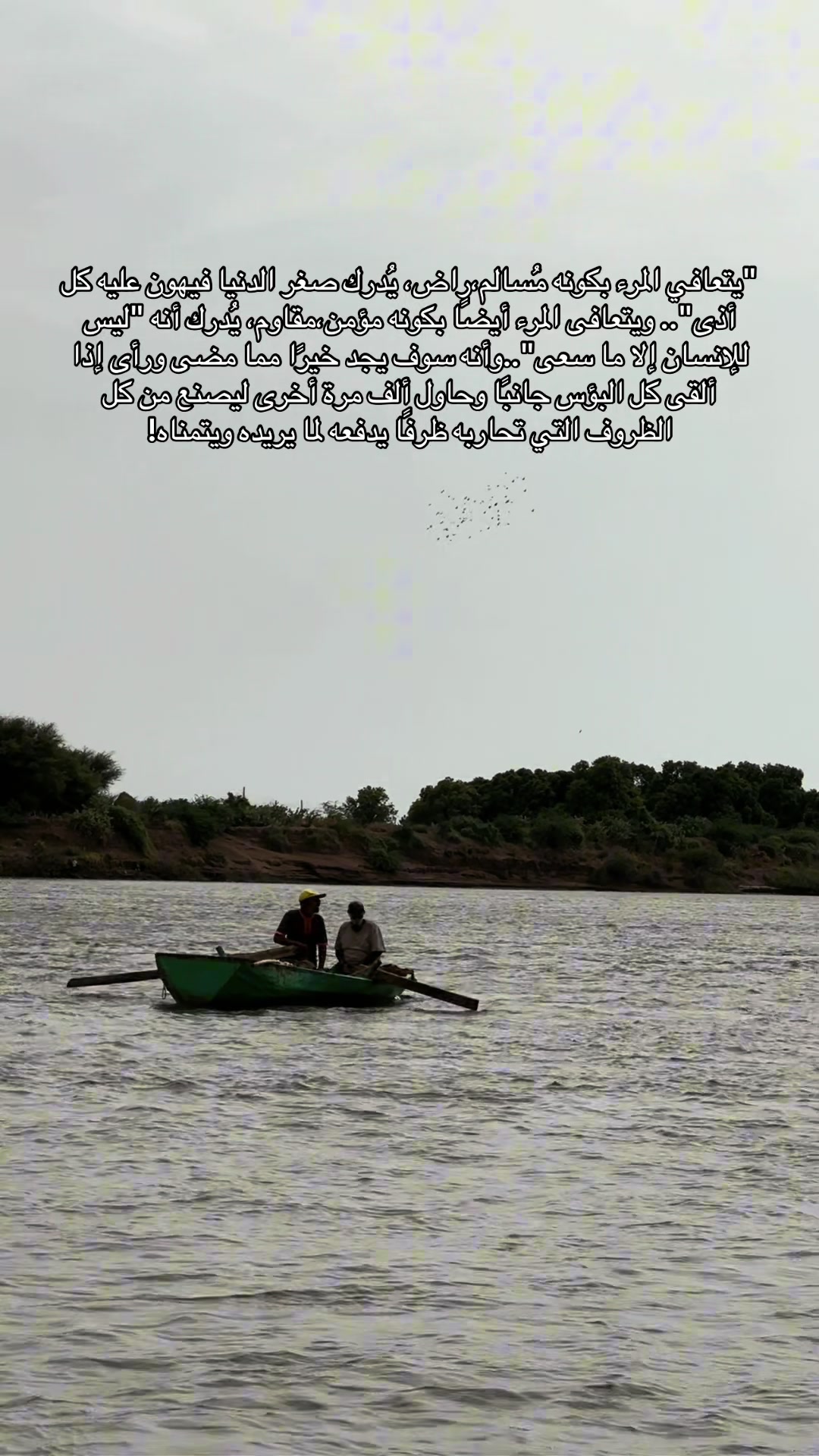 @عبدالغفار أبوبكر