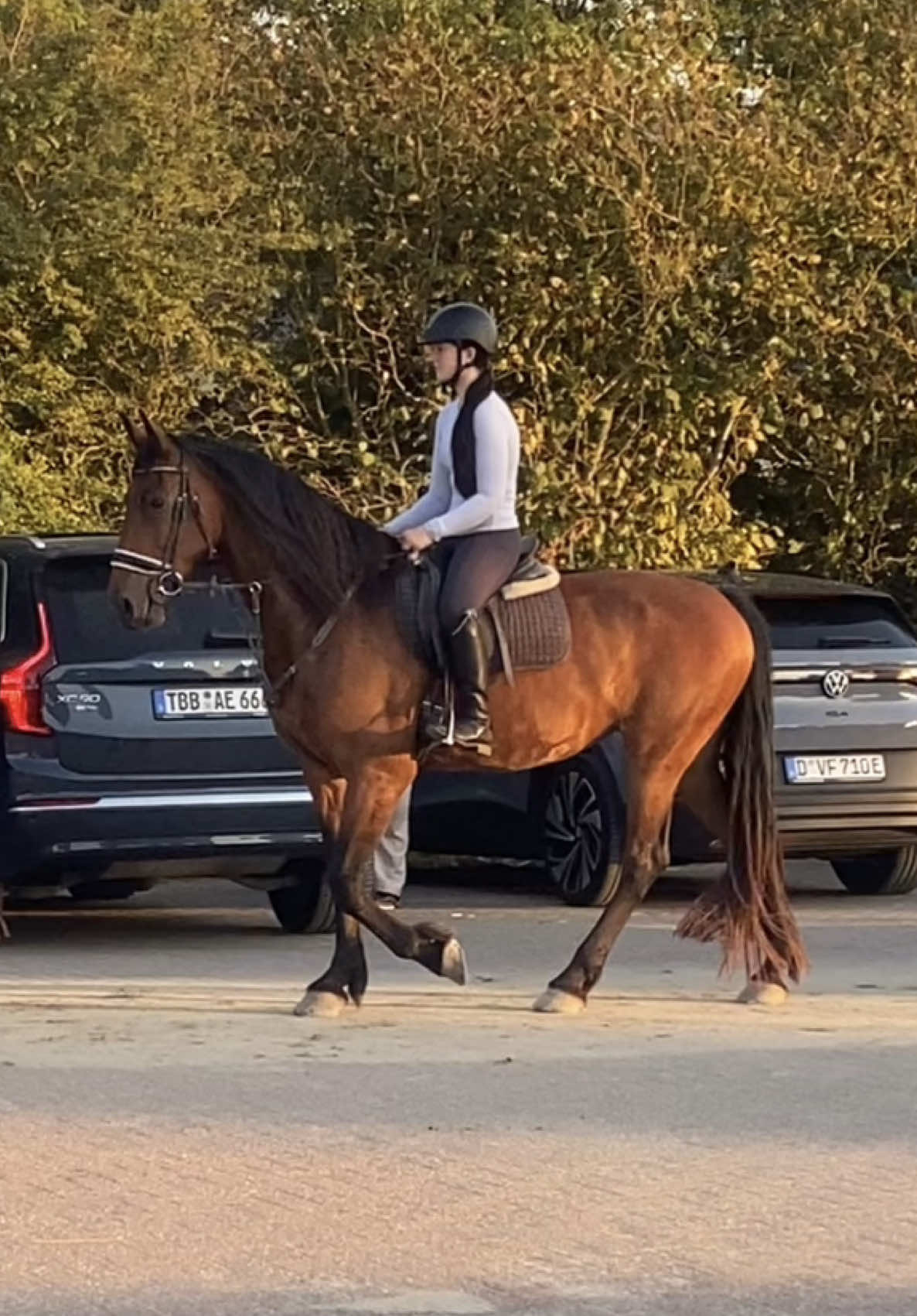 @annalisa.equestrian