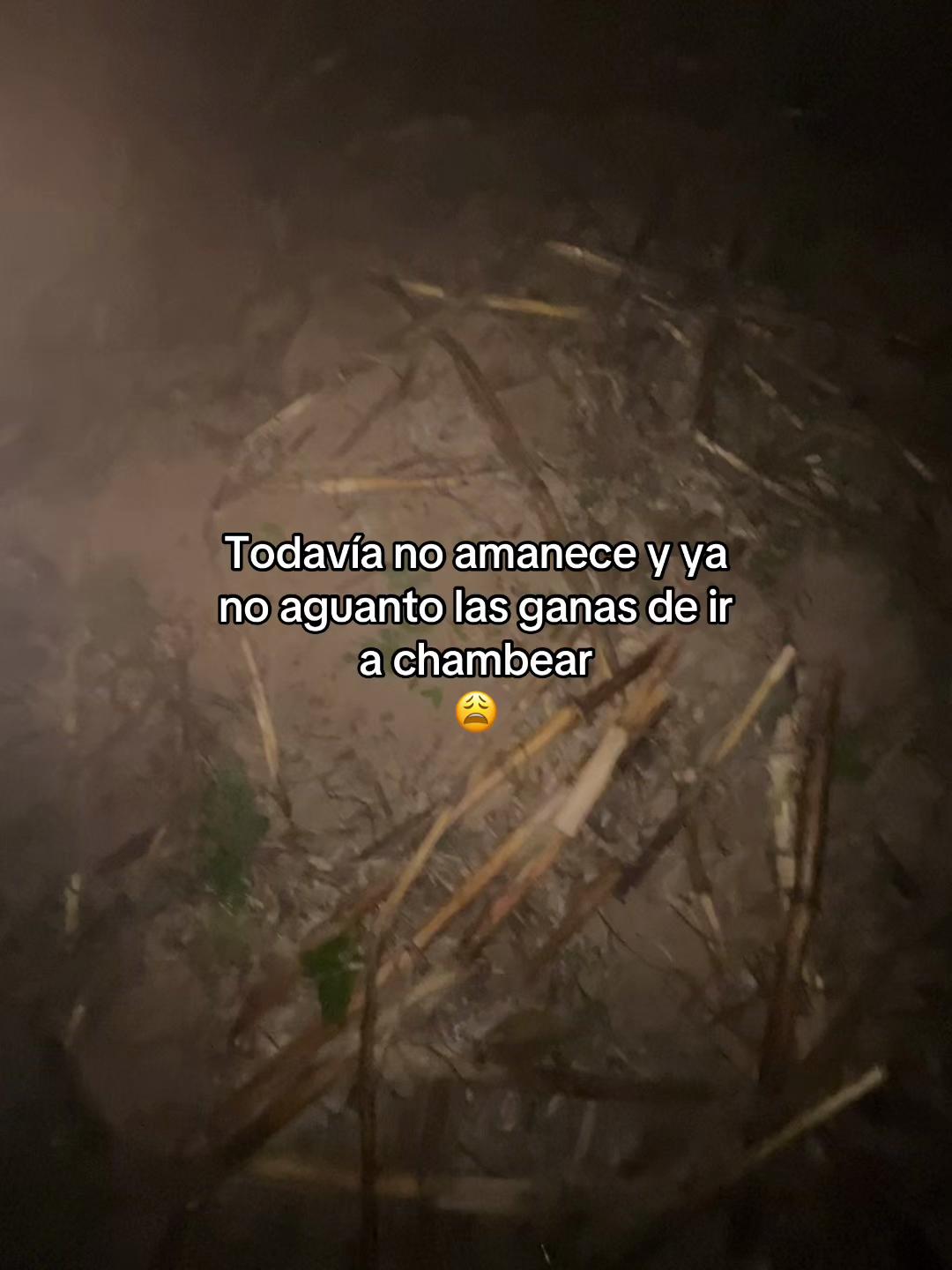 @Henry 🫡🤠