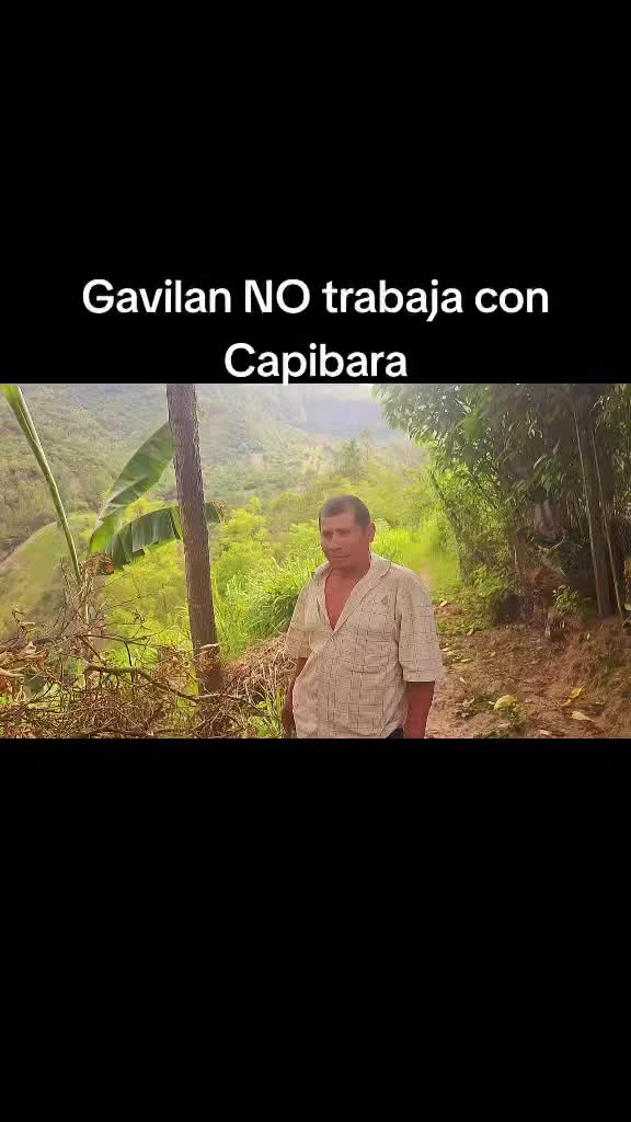 @KABELE