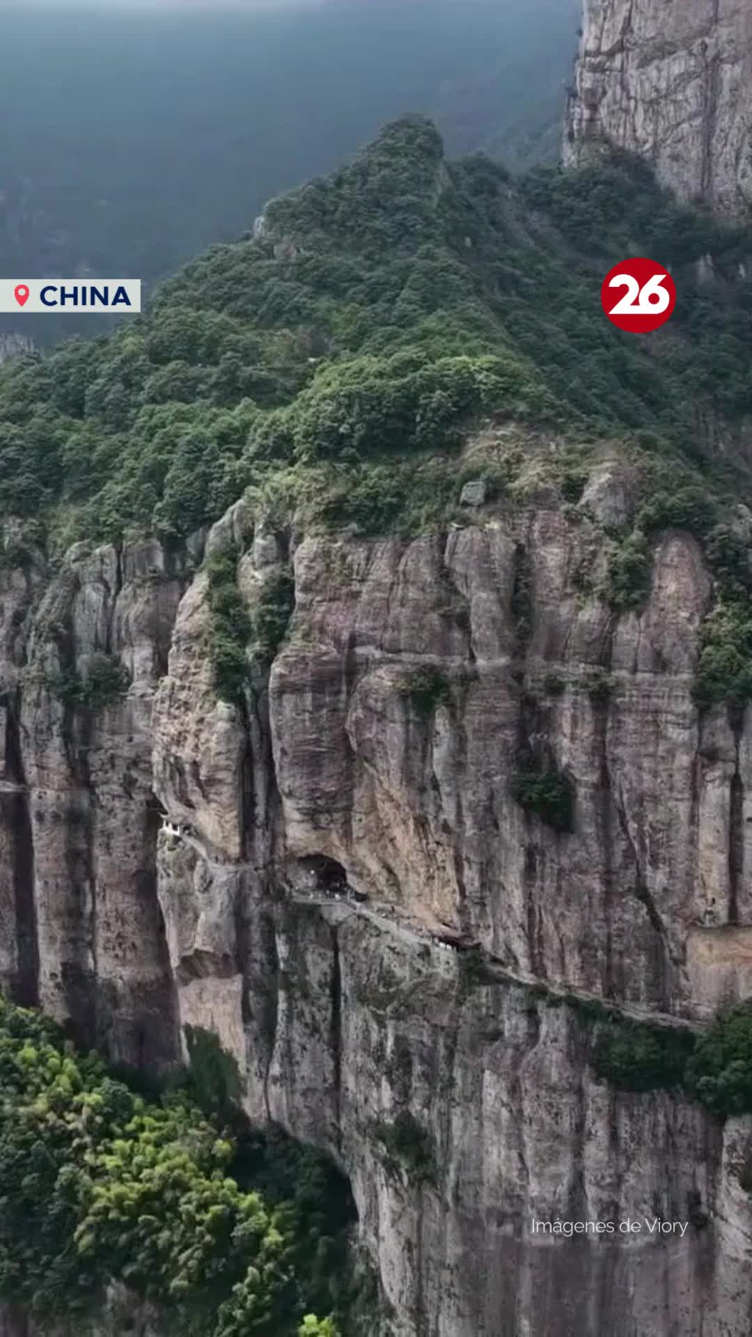 @Canal 26