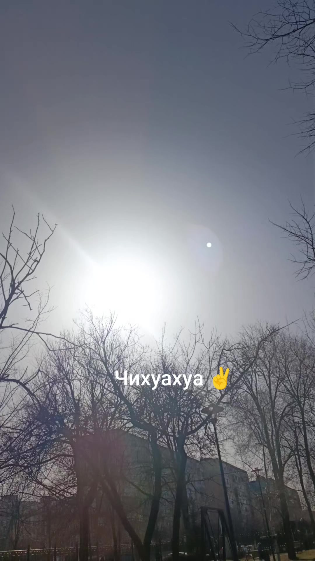 @Екатерина