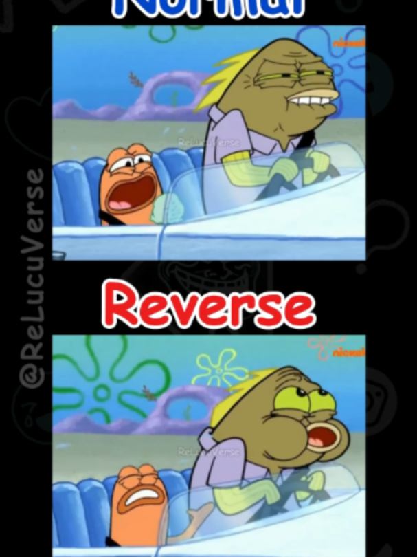 @ReLucuVerse