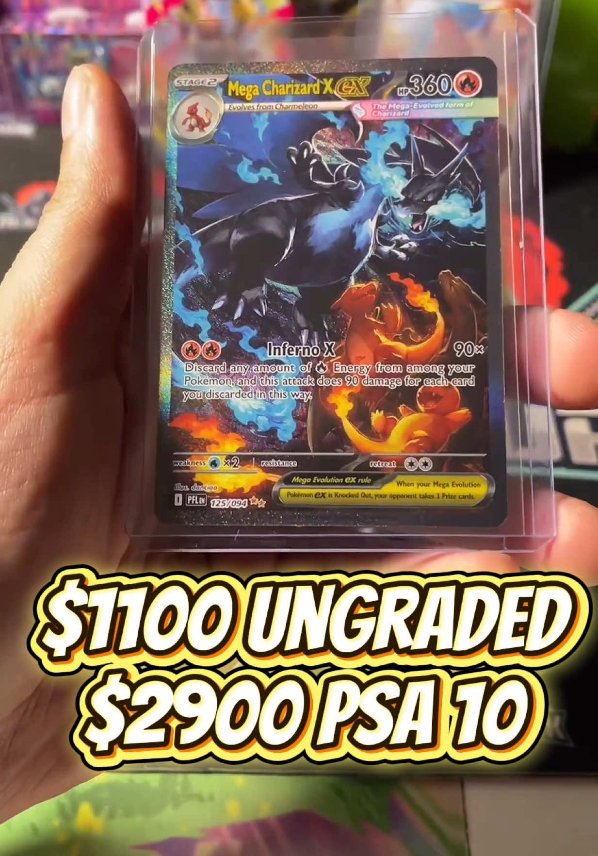 @Lurk Cards