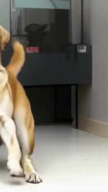 @oscar nava