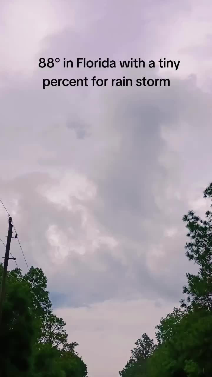 @Antonio Tropical Green Tornado