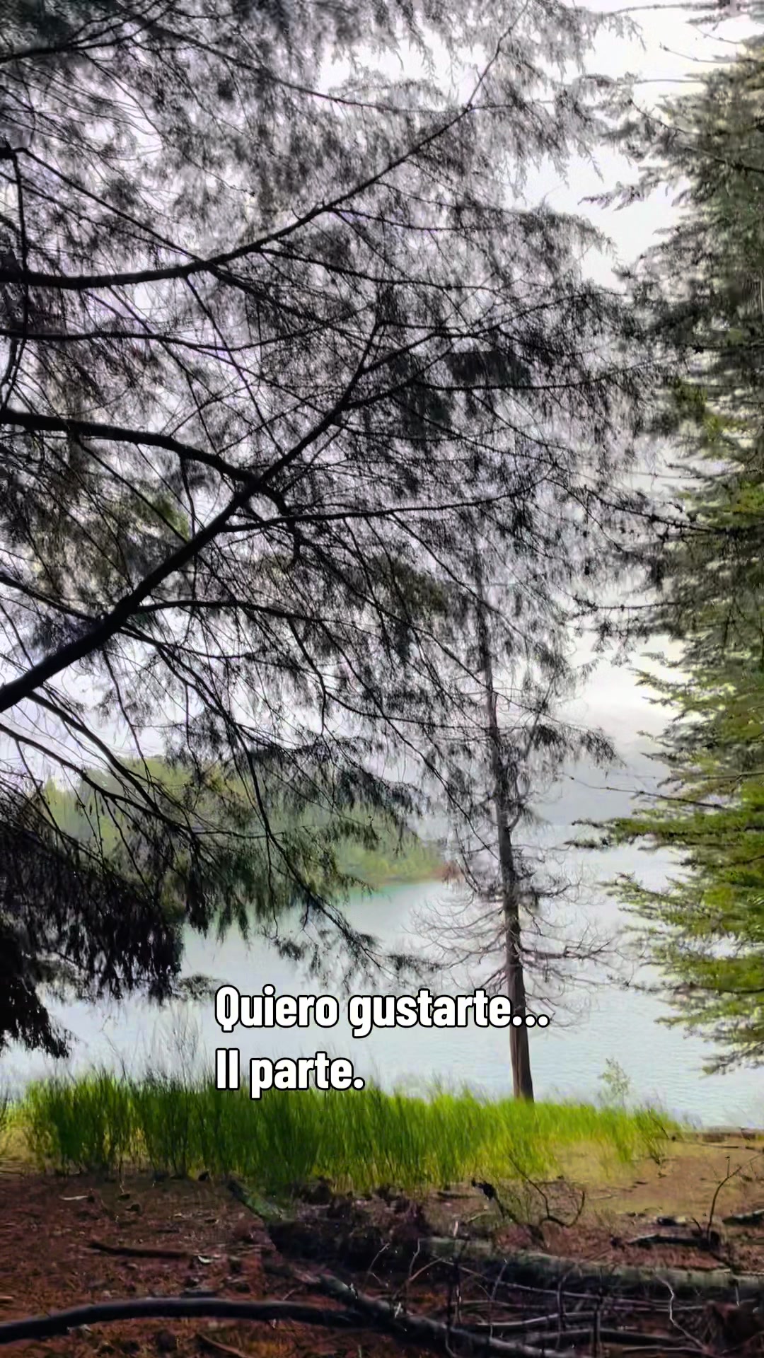 @LRJ