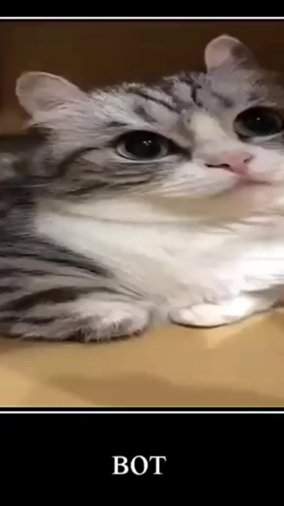 @KomaruSalt_AB