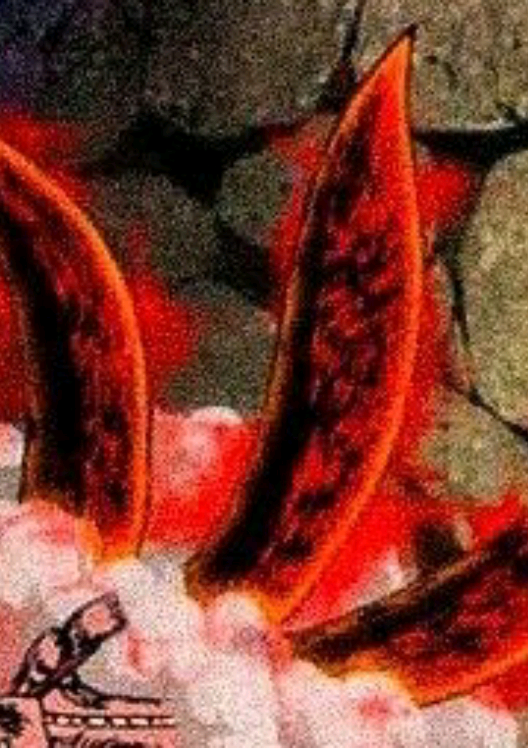 @𝐓𝐡𝐫𝐞𝐞𝟎𝟑.𝐌𝐮𝐬𝐢𝐜