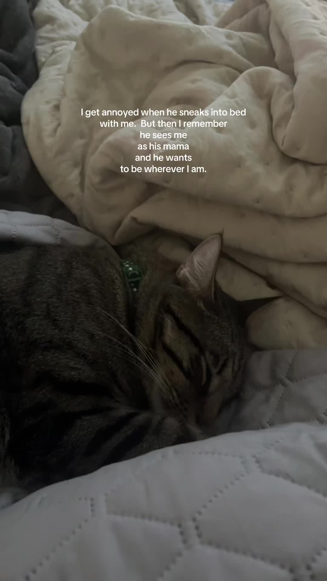 @Itsautumnm