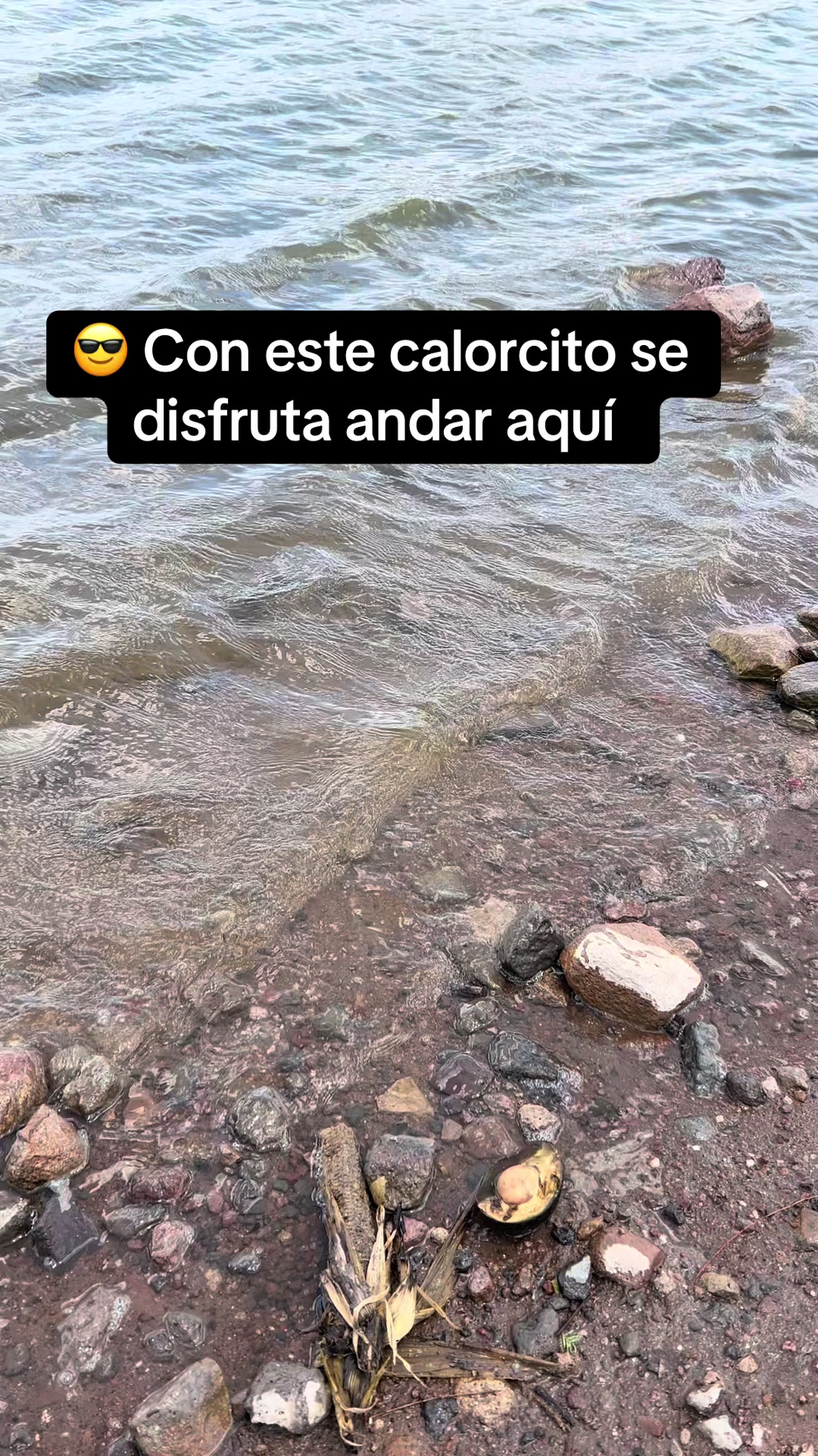 @Chely Glez