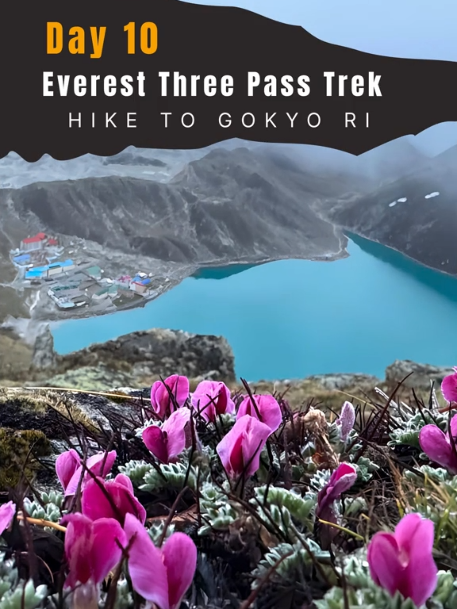 @Nepalpromotetreks
