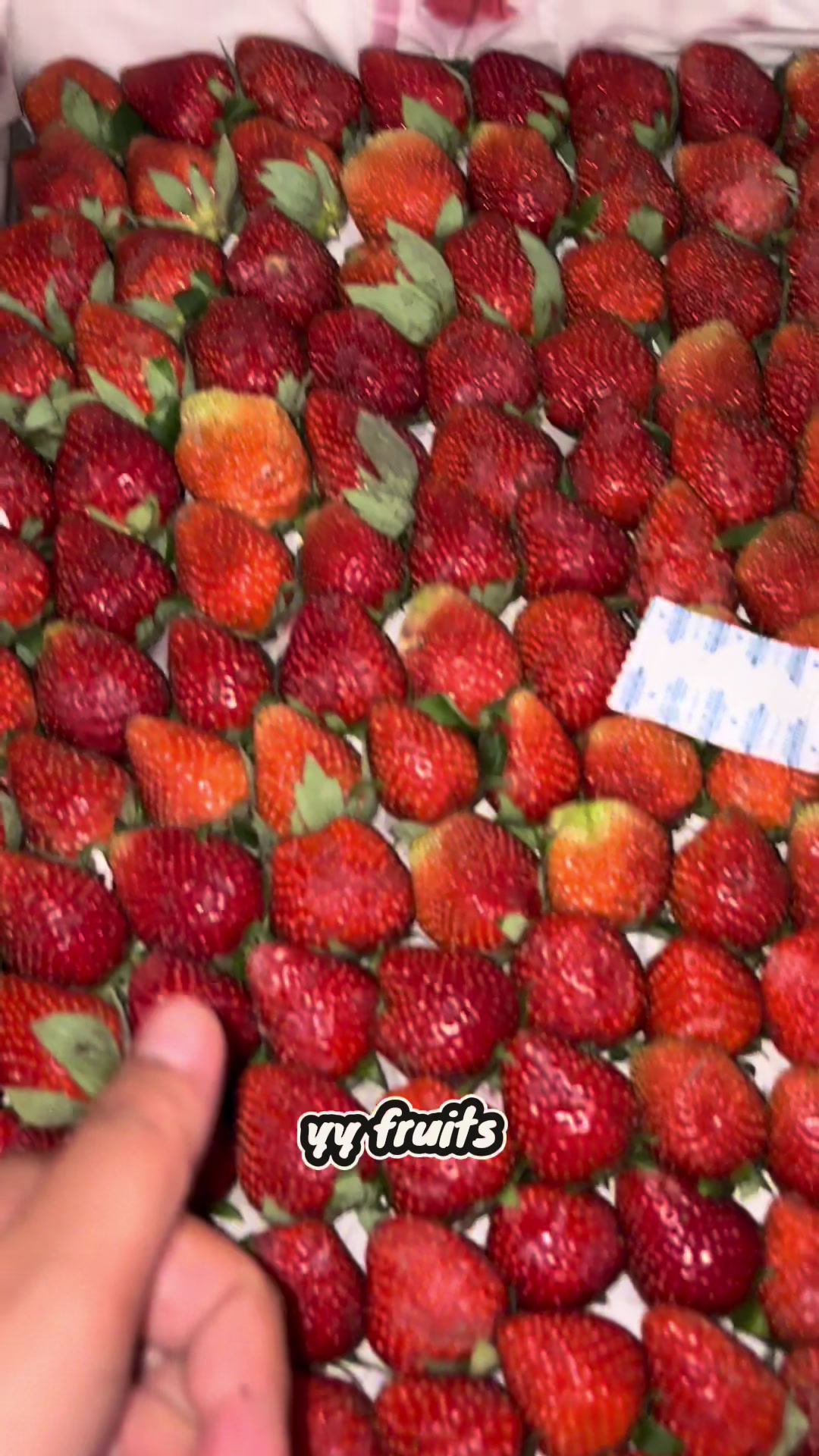 @Yy fruits