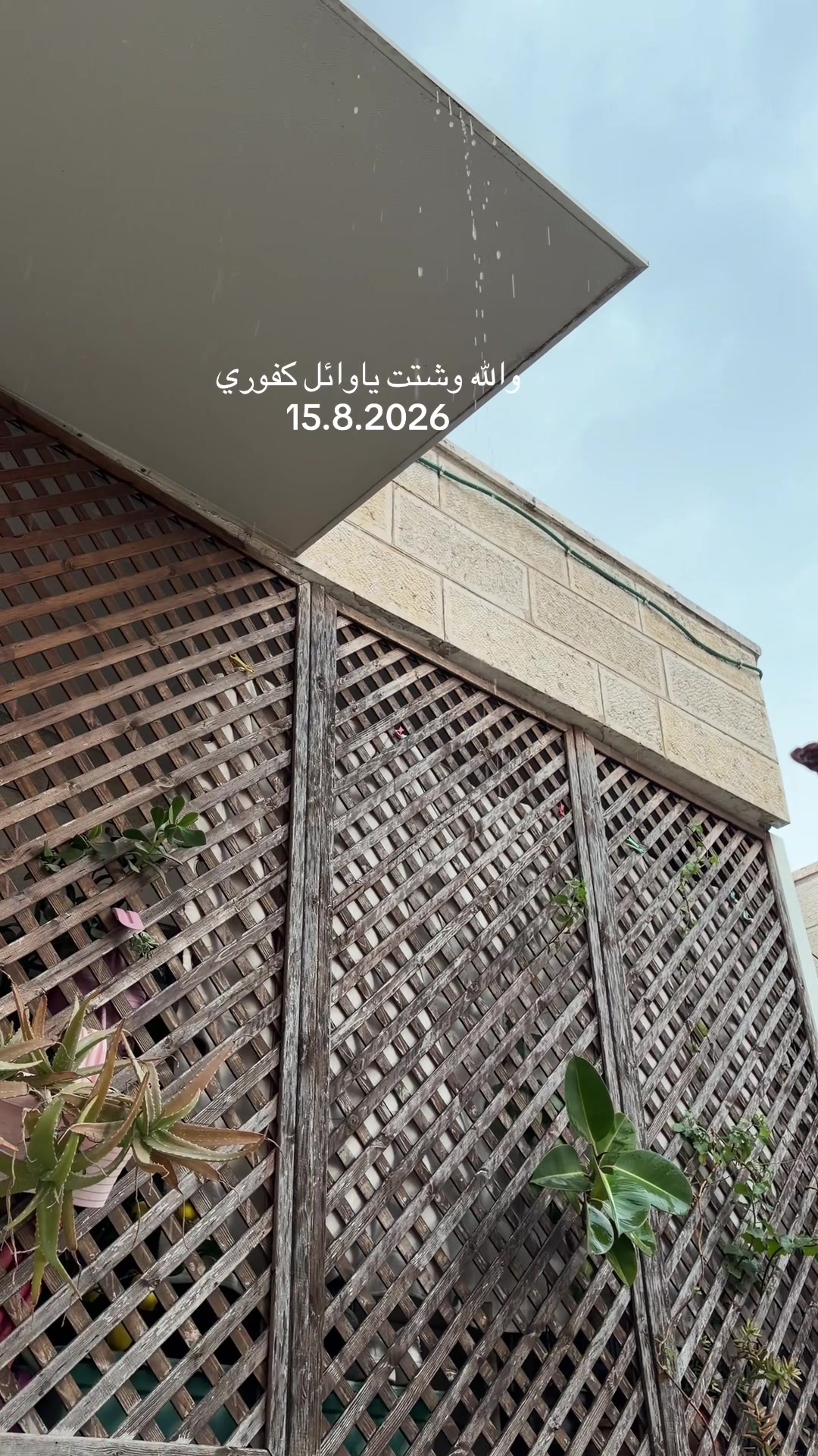 @᷂وللحلم ᷂بقيه ♥️