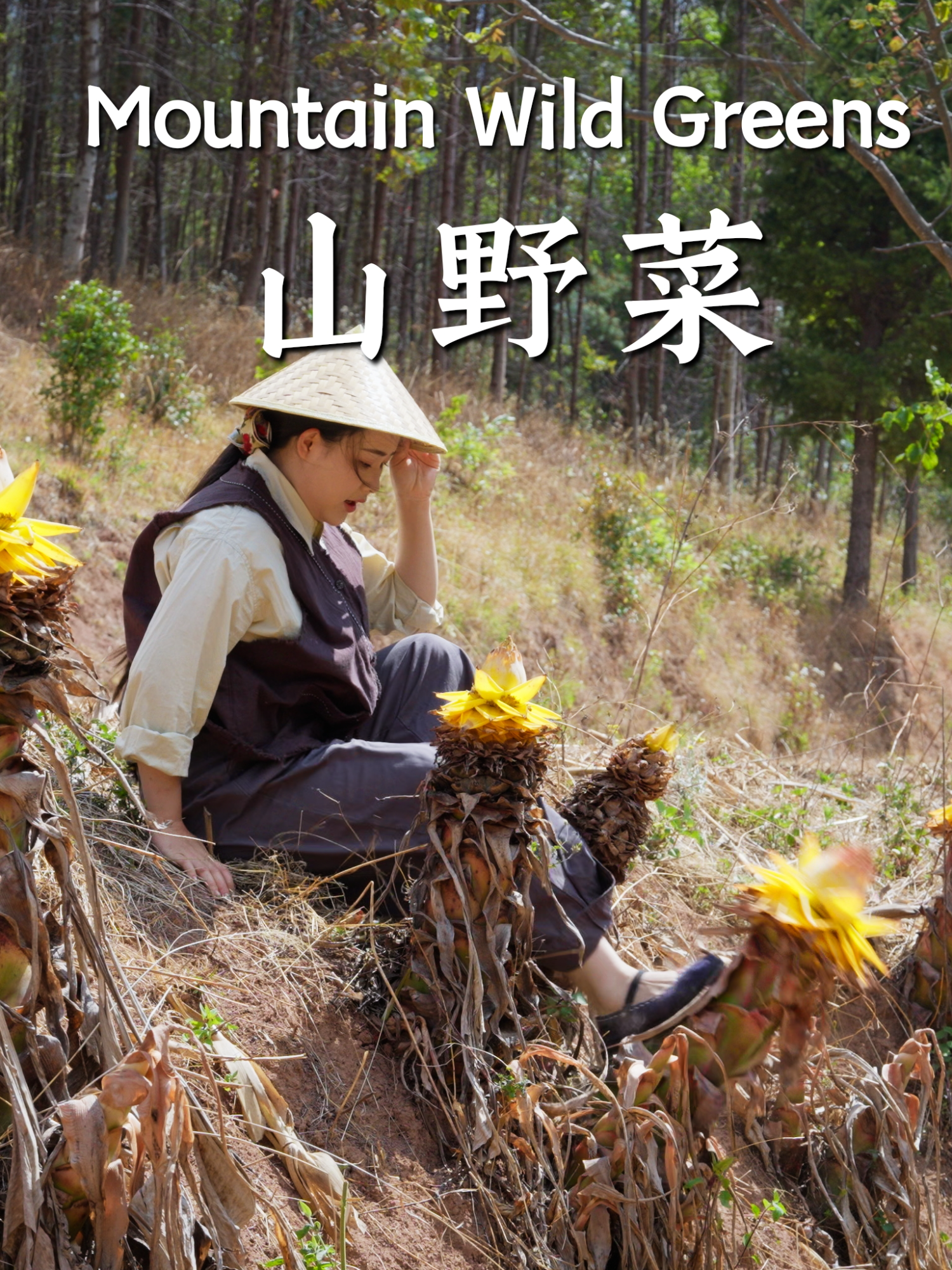 @滇西小哥 Dianxixiaoge