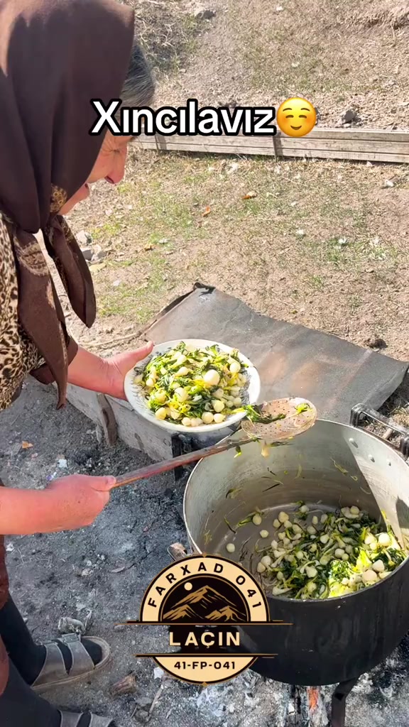 @Əlizamin Cəlilabadlı