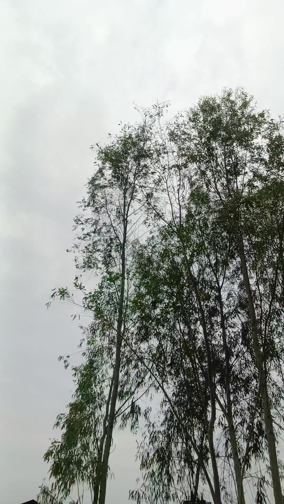 @अमित थारु 🇳🇵♥️💐