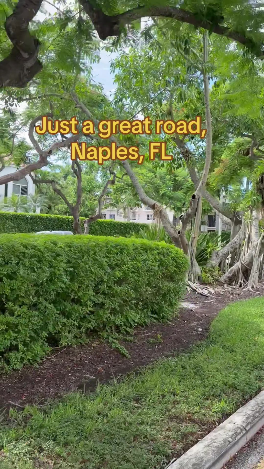 @Florida Land Guy