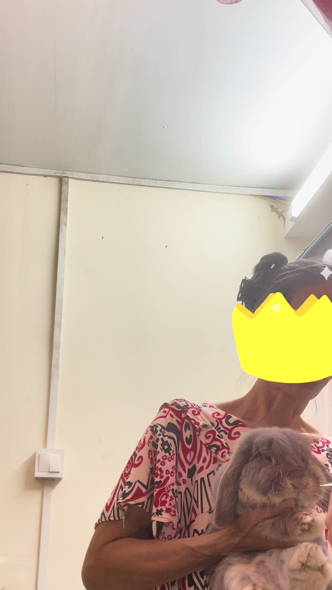 @Bingo