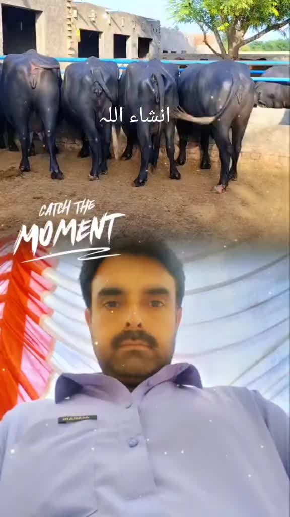 @Malik ijaz 669