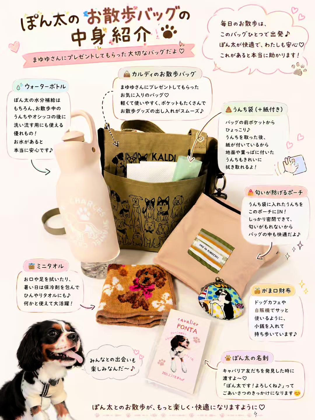@じゃんけんぽん太🇬🇧🐶🇺🇸💎