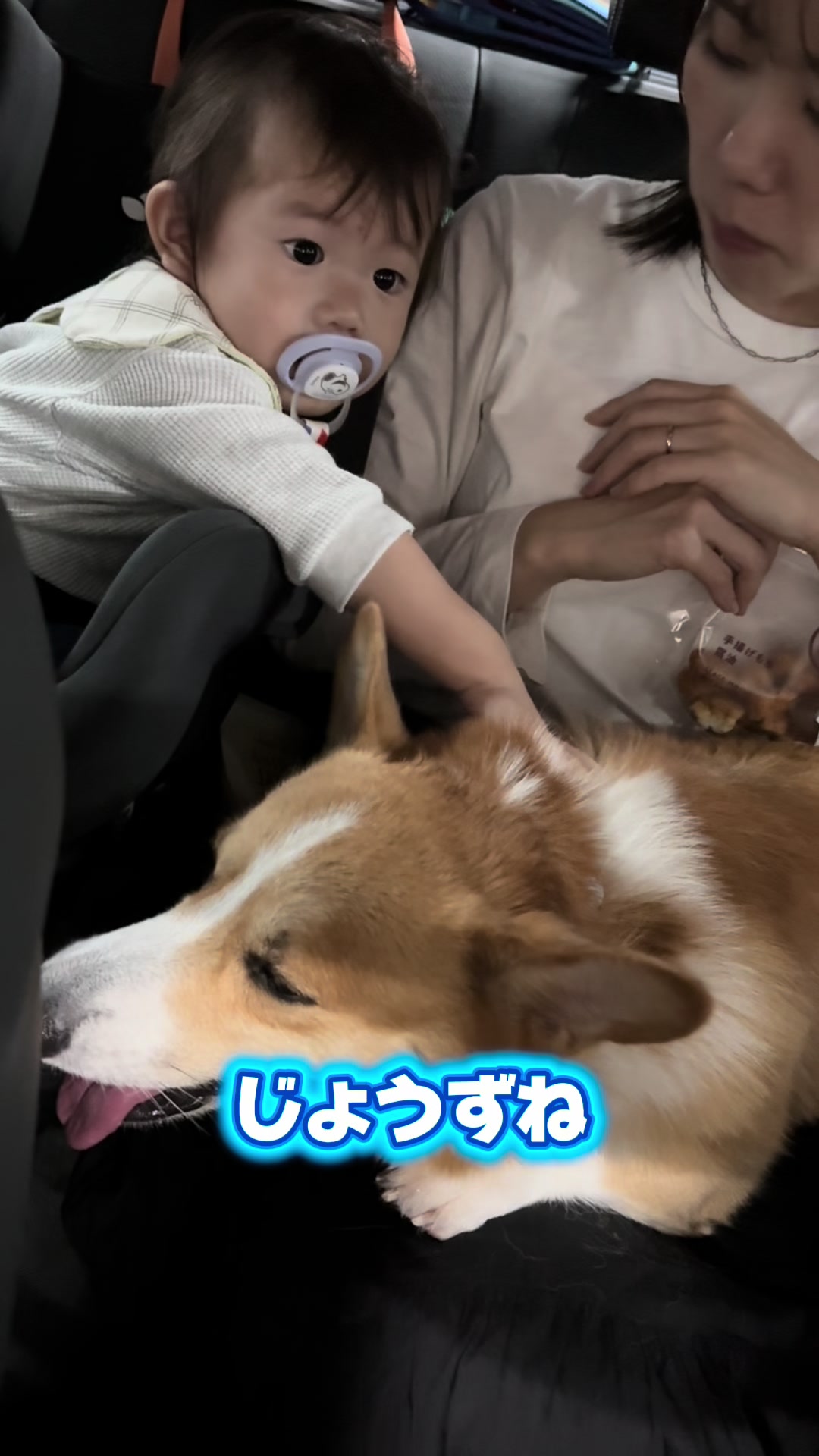 @トロン