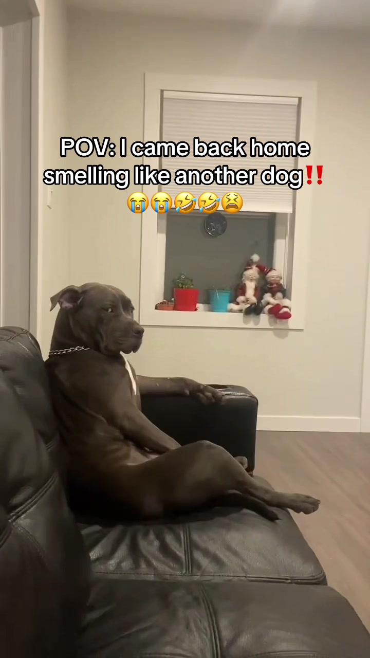 @CotDammitElizabeth