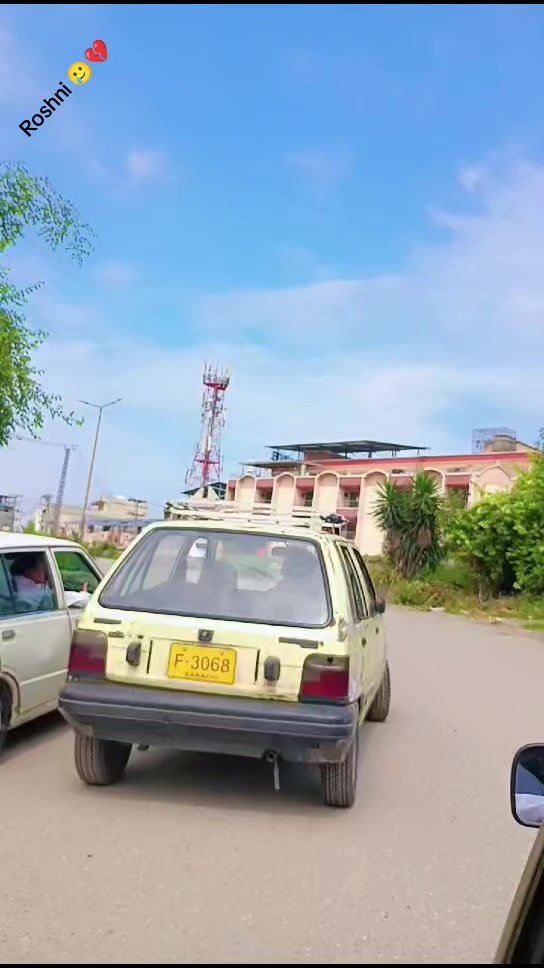 @جنگلی بلی 😺