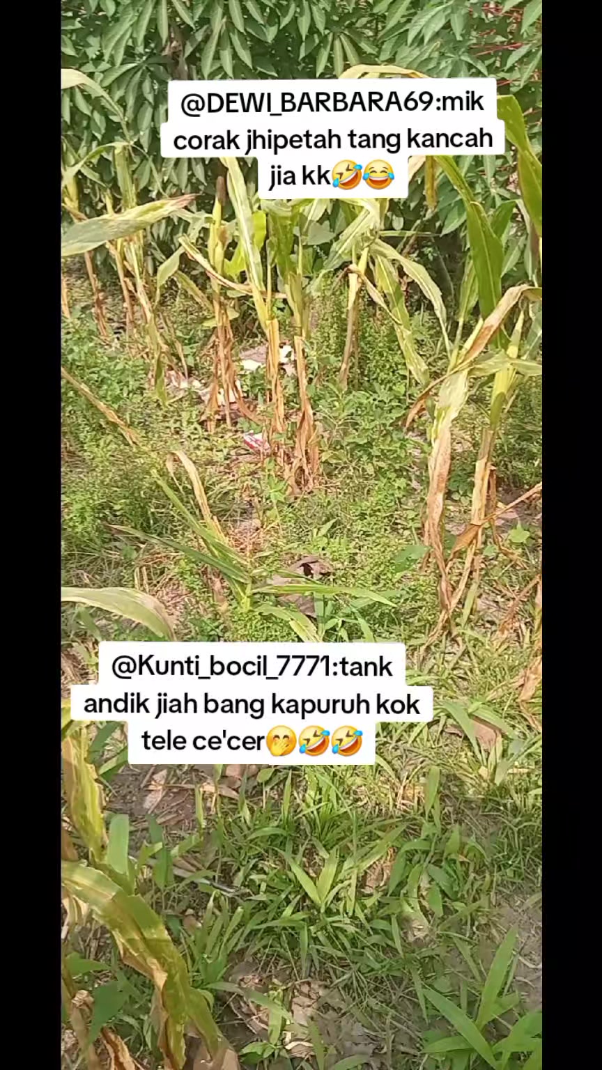 @KAMPONG TOSO
