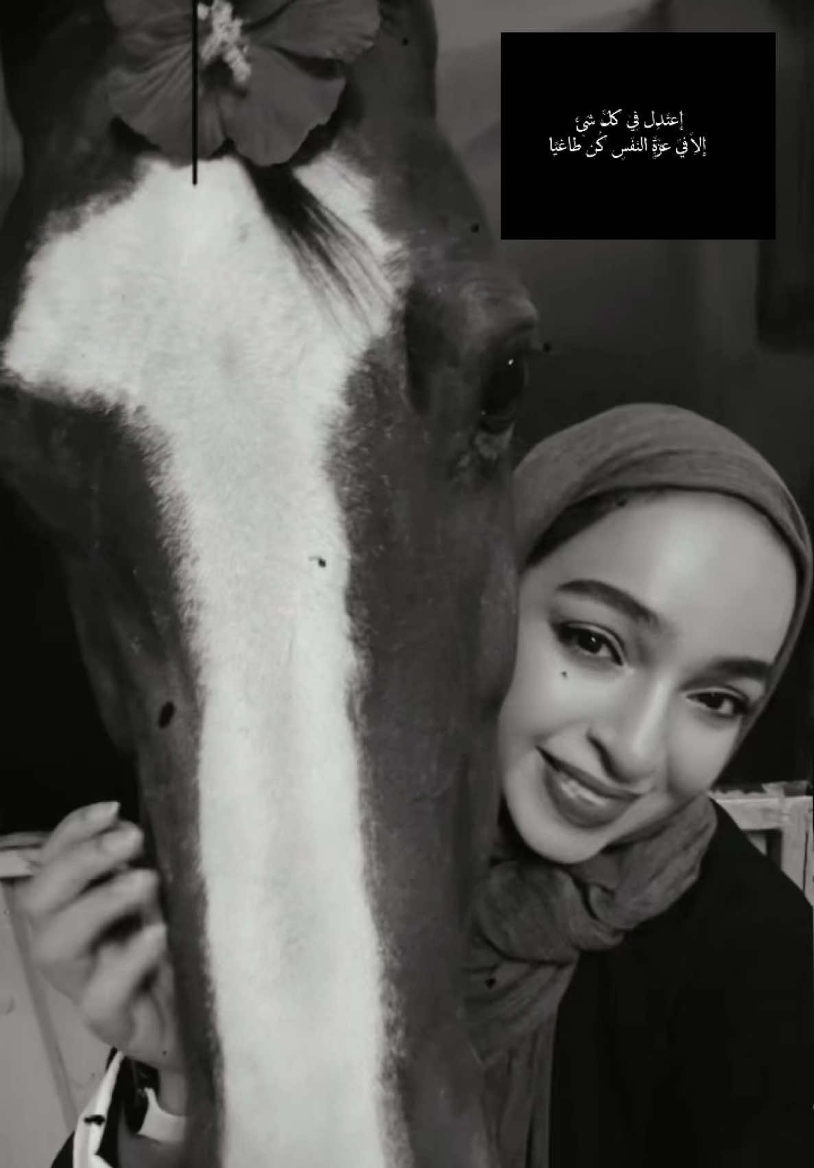 @Shamayel