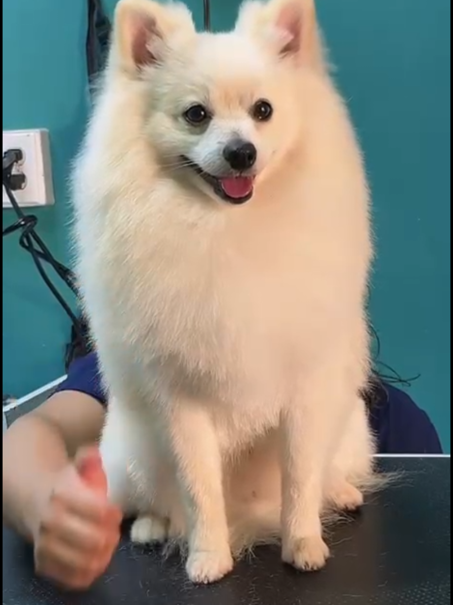 @erika