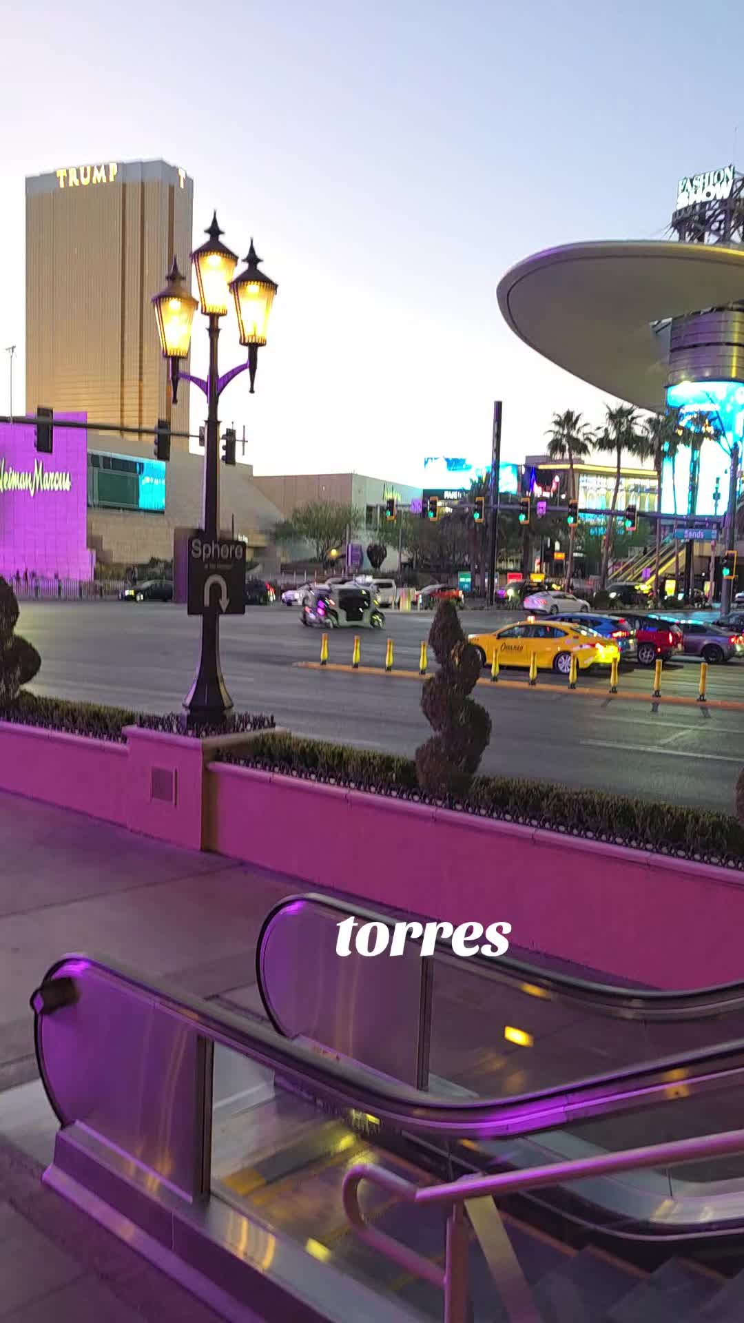 @Estela Torres