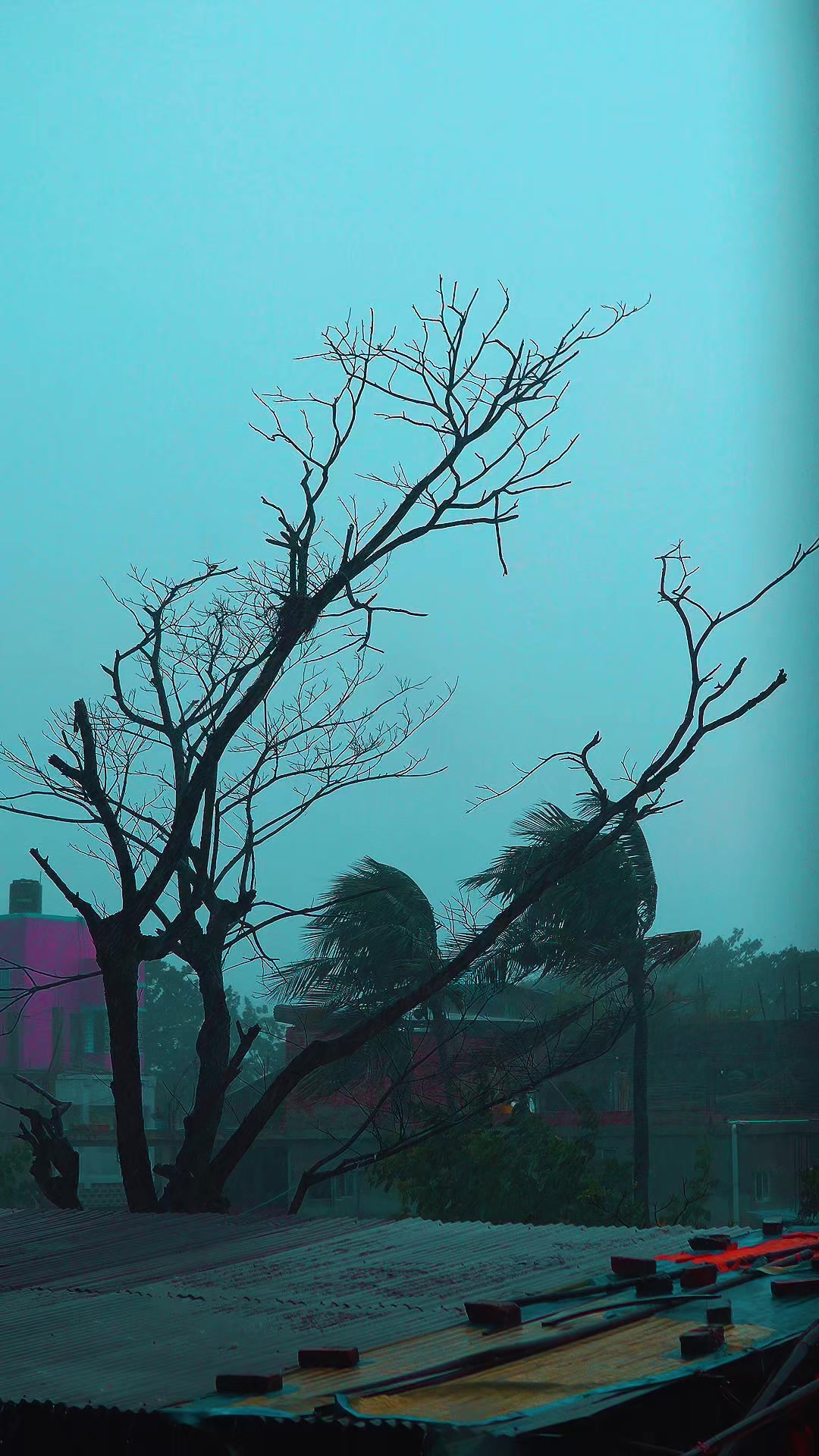 @Ahmed_samit | Chittagong