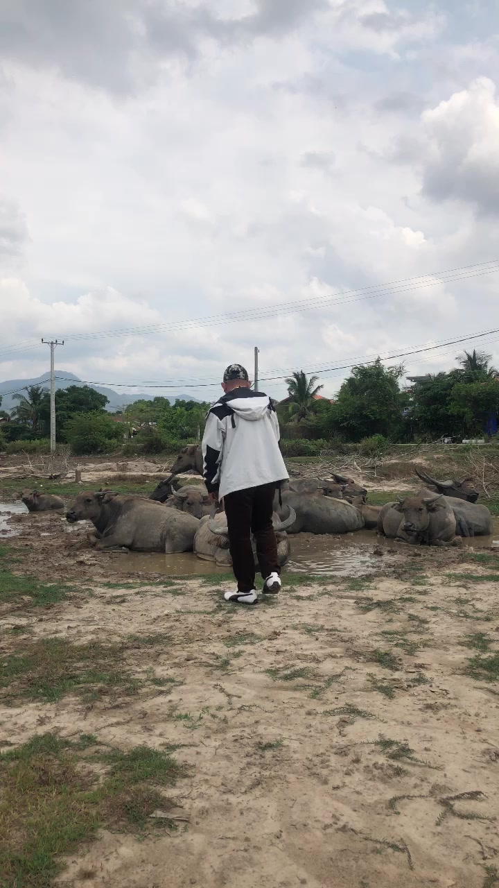 @ឥន្ទ្រីសលំហរវេហារ