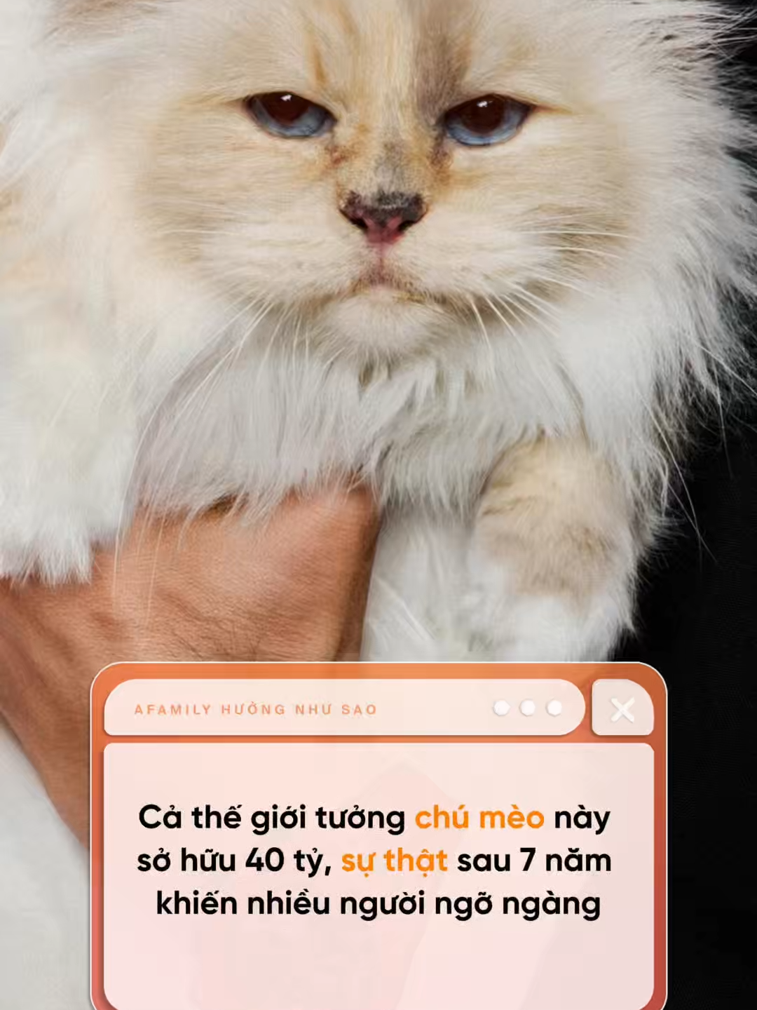 @Hưởng như SAO