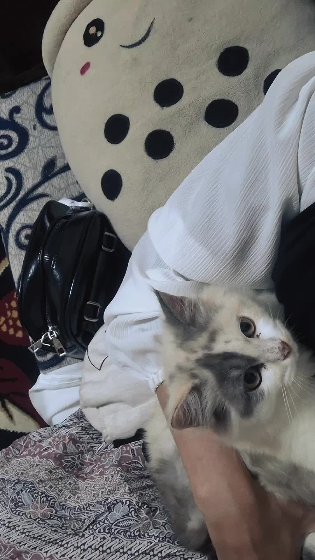 @heytir